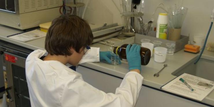 Experiment zum genetischen Fingerabdruck